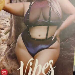 Fantasy Lingerie Vibes Sheer Black and Purple Bodysuit Plus Size 14-18 Queen